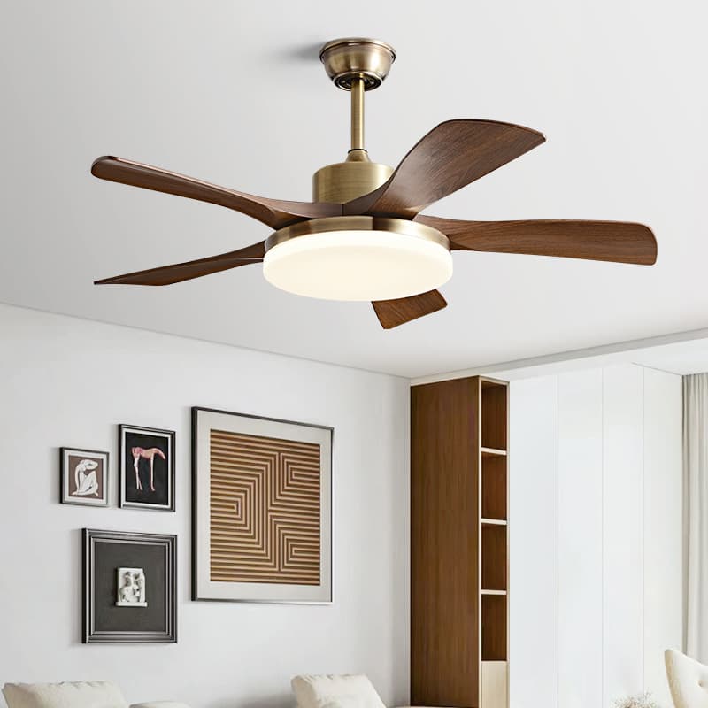 Air fan, lights for living room, retro ceiling lamp, new collection 2