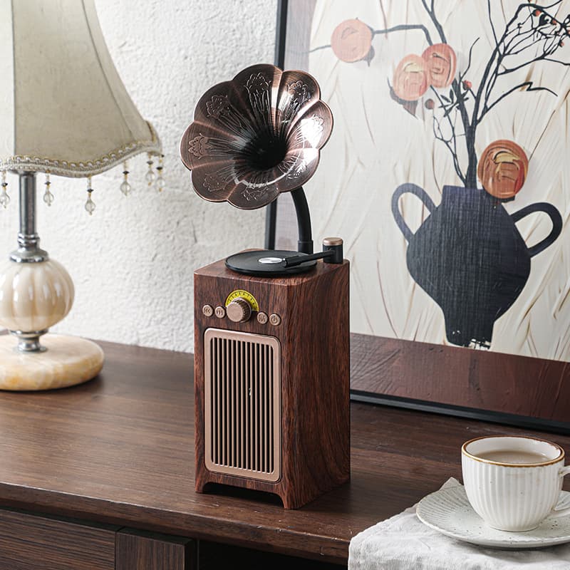 Handheld speakers, bluetooth 3