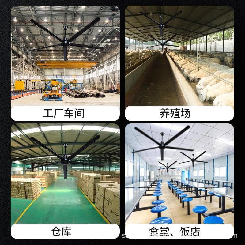Aux 2-meter ceiling fan king remote control 80-inch large ceiling fan pure copper motor large wind power ceiling fan iron blade factory 4