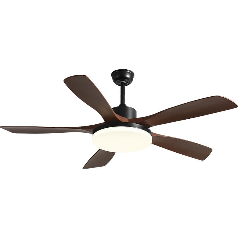 Air fan, lights for living room, retro ceiling lamp, new collection 5