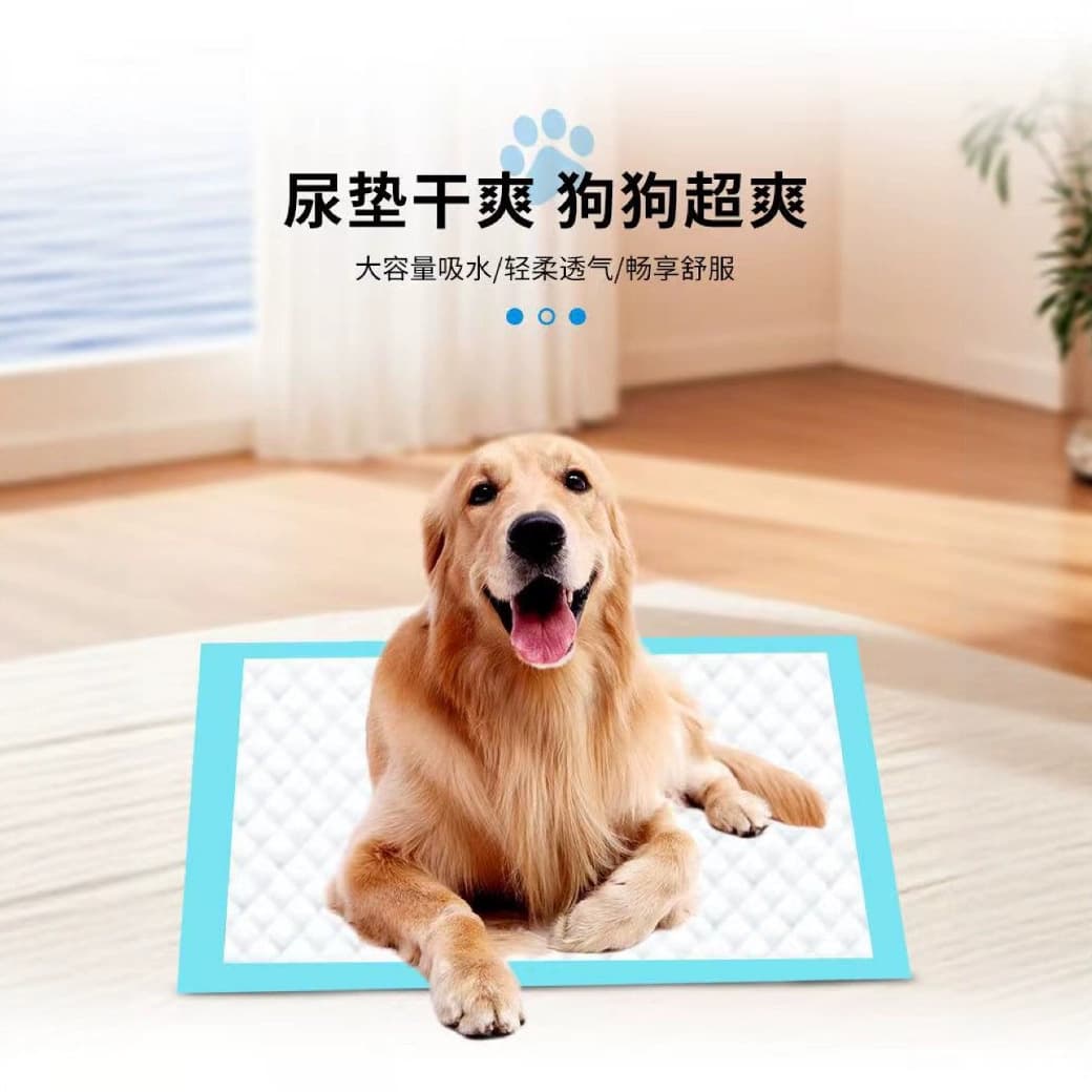 Pet diapers dog diapers pet supplies instantaneous suction leak-proof disposable pad diaper pad factory pet pad 3