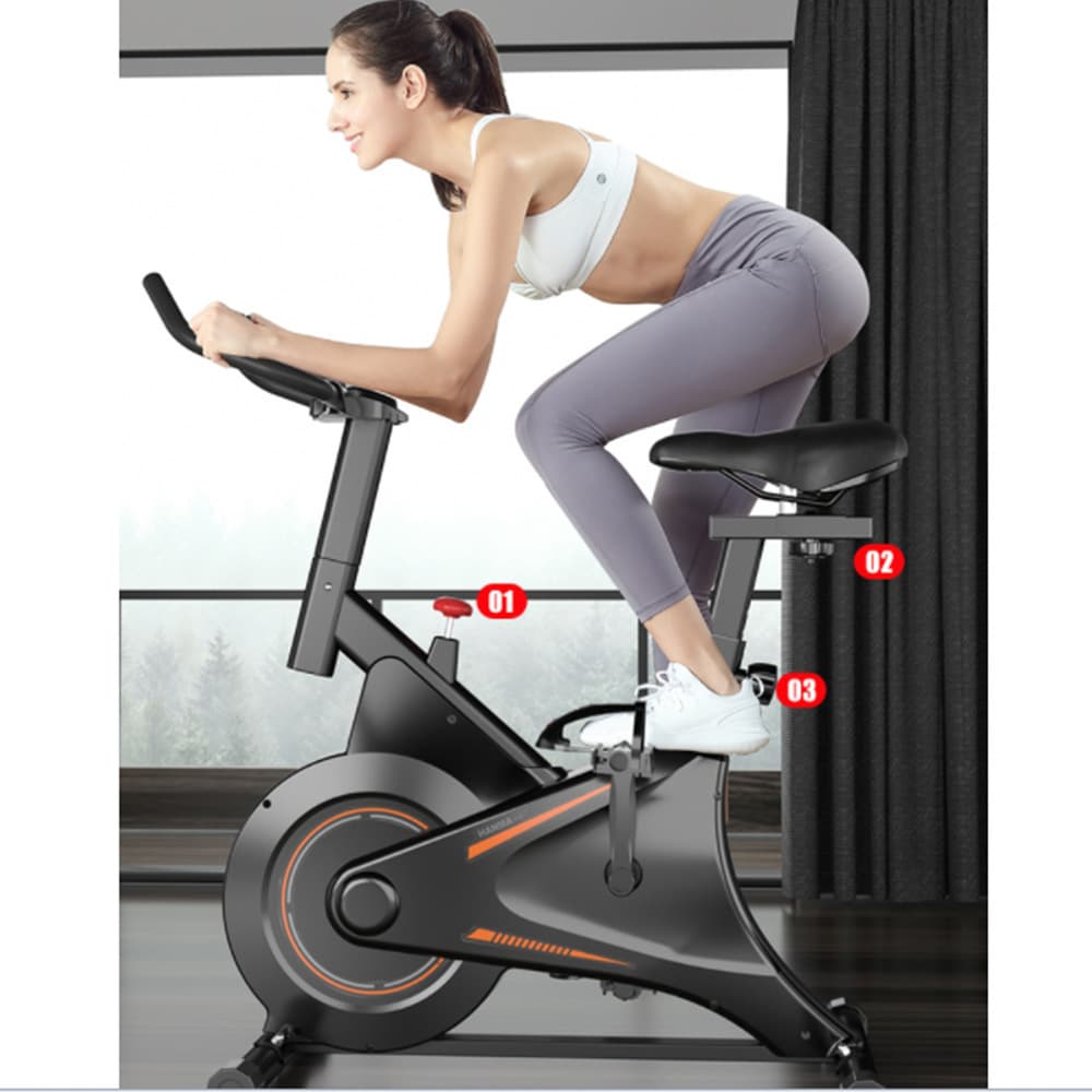 Hanjma Dynamic Exercise Bike 1