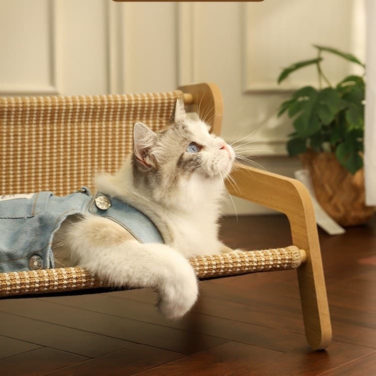 Wear-resistant big sofa, protective furniture, cat 4