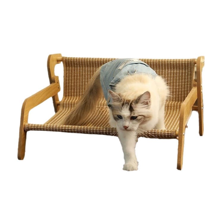 Wear-resistant big sofa, protective furniture, cat 5