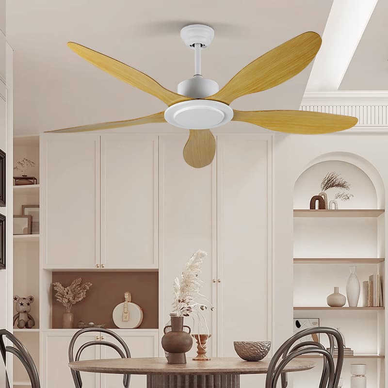 Air fan for living room, ceiling ceiling fan, remote control 2