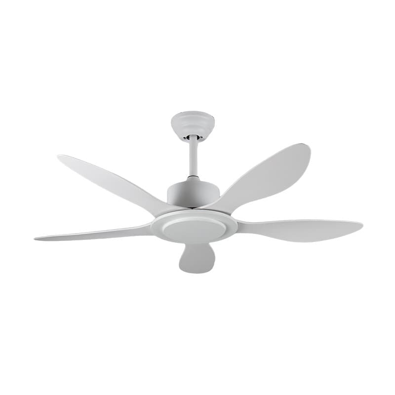 Air fan for living room, ceiling ceiling fan, remote control 5