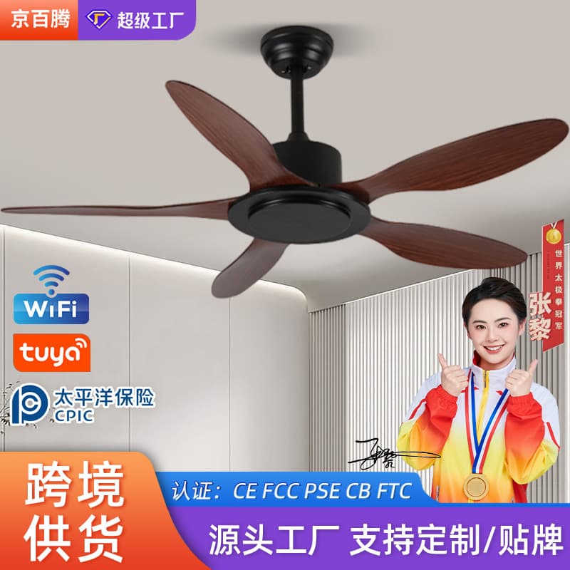 Air fan for living room, ceiling ceiling fan, remote control 1
