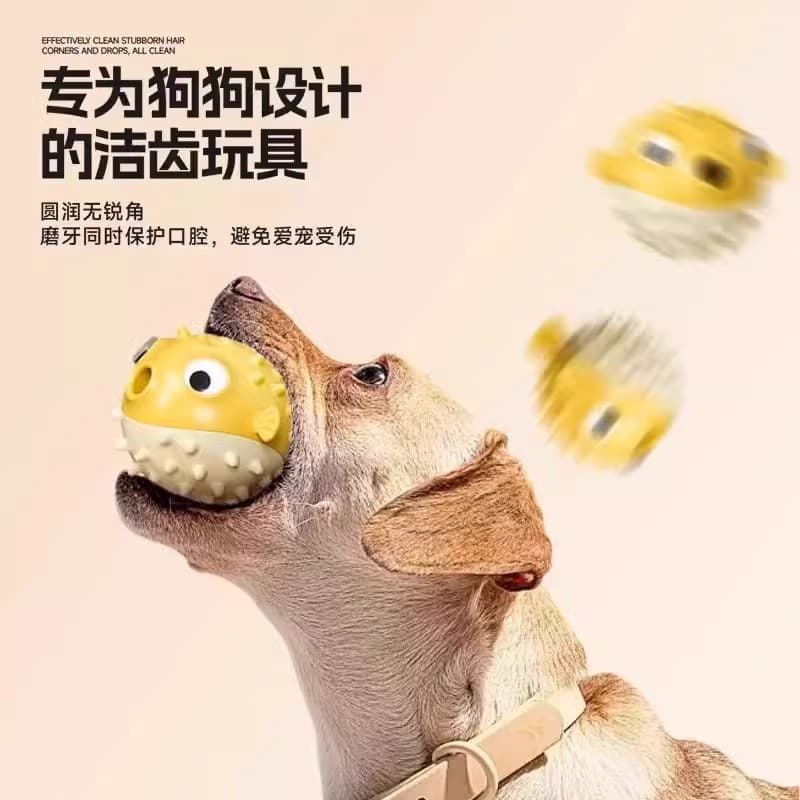 Interactive toy, cat, getting rid of boredom, pet 2
