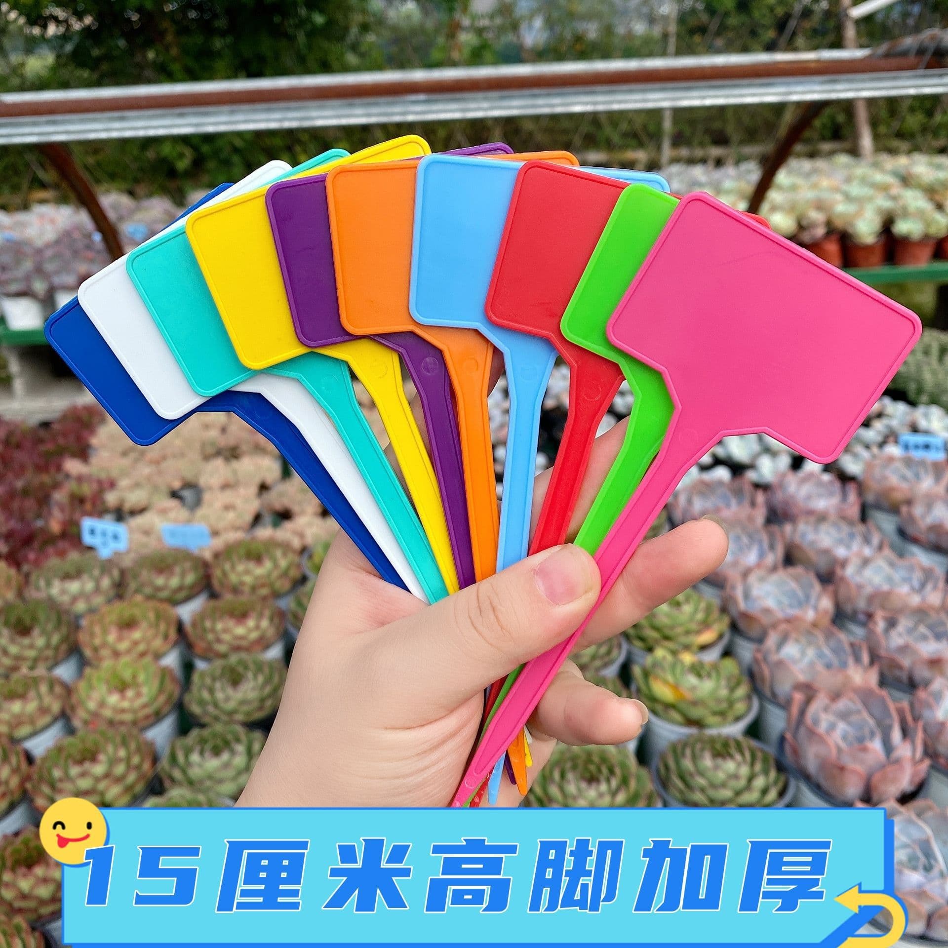 New thickened style high-end gardening label flower brand plant logo cross-border plastic potted marking plate 2
