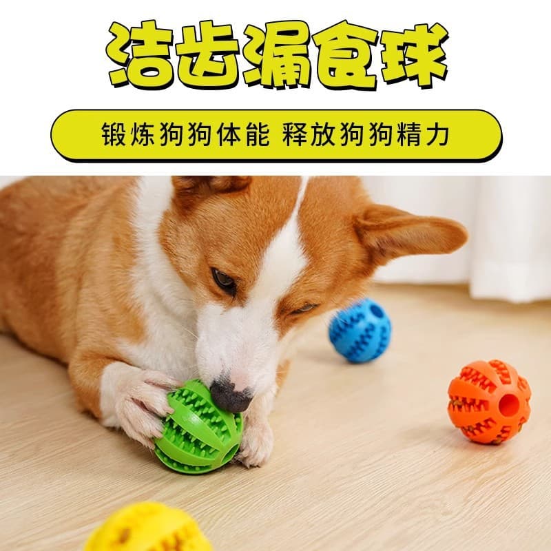 Pet dog food ball toy educational puzzle resistant to bite and molar Golden Retriever Corgi to relieve boredom puppy rubber elasticity 96503 4