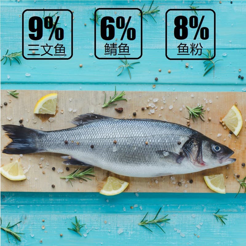 Wholesale dog food grain hypoallergenic pet cats and dogs factory direct sales 4