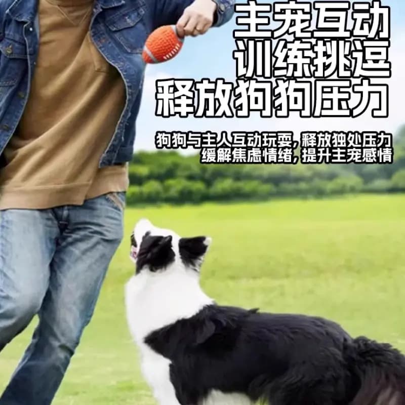 Dog toy ball, teeth grinding, biting resistant, Golden Retriever Corgi, dog teasing, dog training, pet dog, puppy, self-entertainment and boredom relief 3