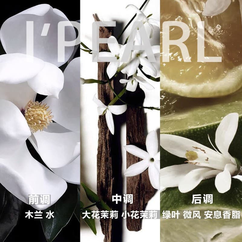Guangzhou Pearl Daily Chemical Fragrance Miss Ye's Magnolia Fragrance Perfume Aromatherapy Candle Fragrance Natural Fragrance 2