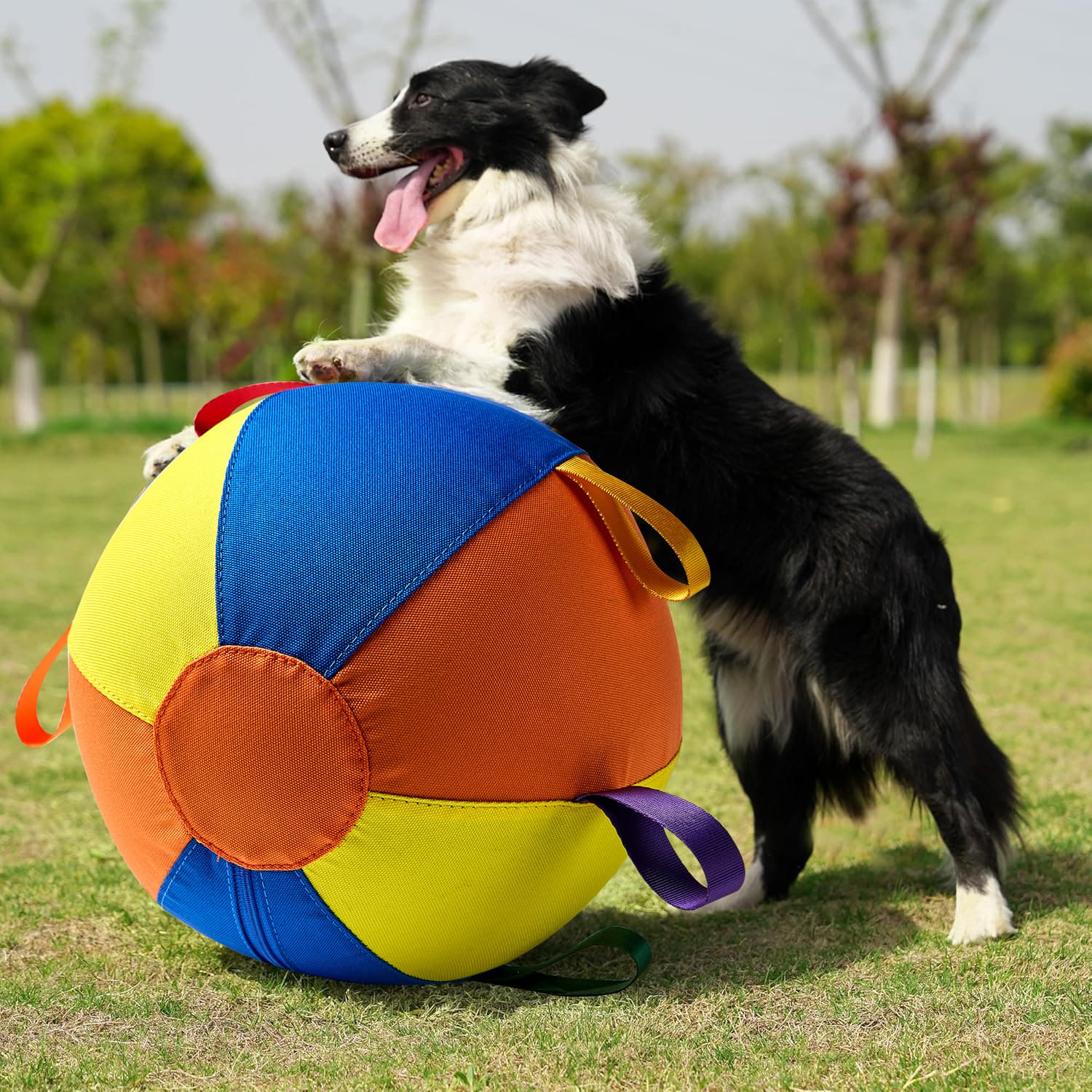 Giant ball toys for dogs, a complete set of dog balls, golden retriever bite-resistant balls, boredom relief balls, amusing Shiba Inu Corgis, self-entertaining pet balls 5