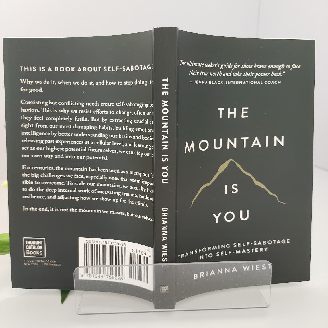 Mountain is your original English version of the mountain is you: self -transition batch discount 3