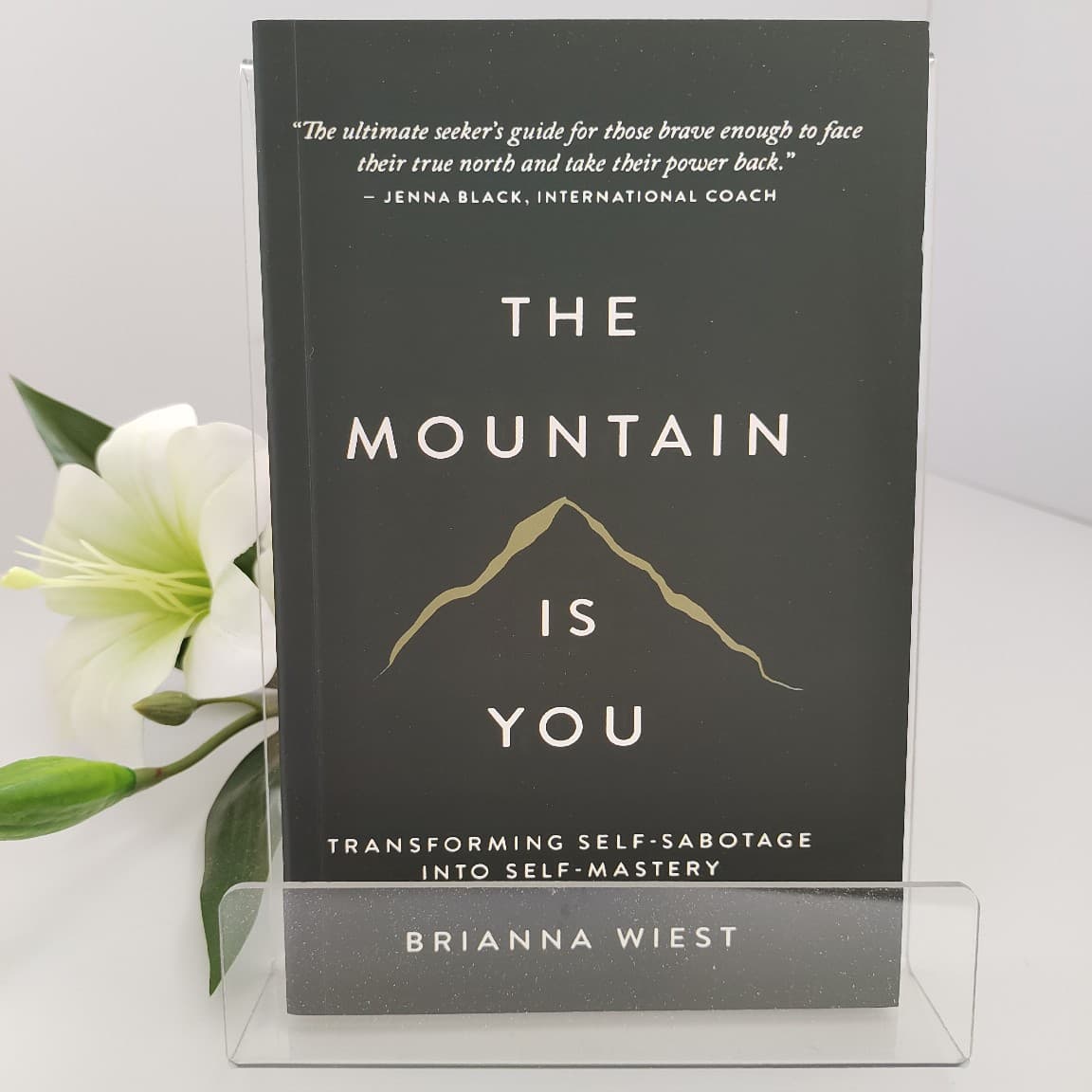 Mountain is your original English version of the mountain is you: self -transition batch discount 1