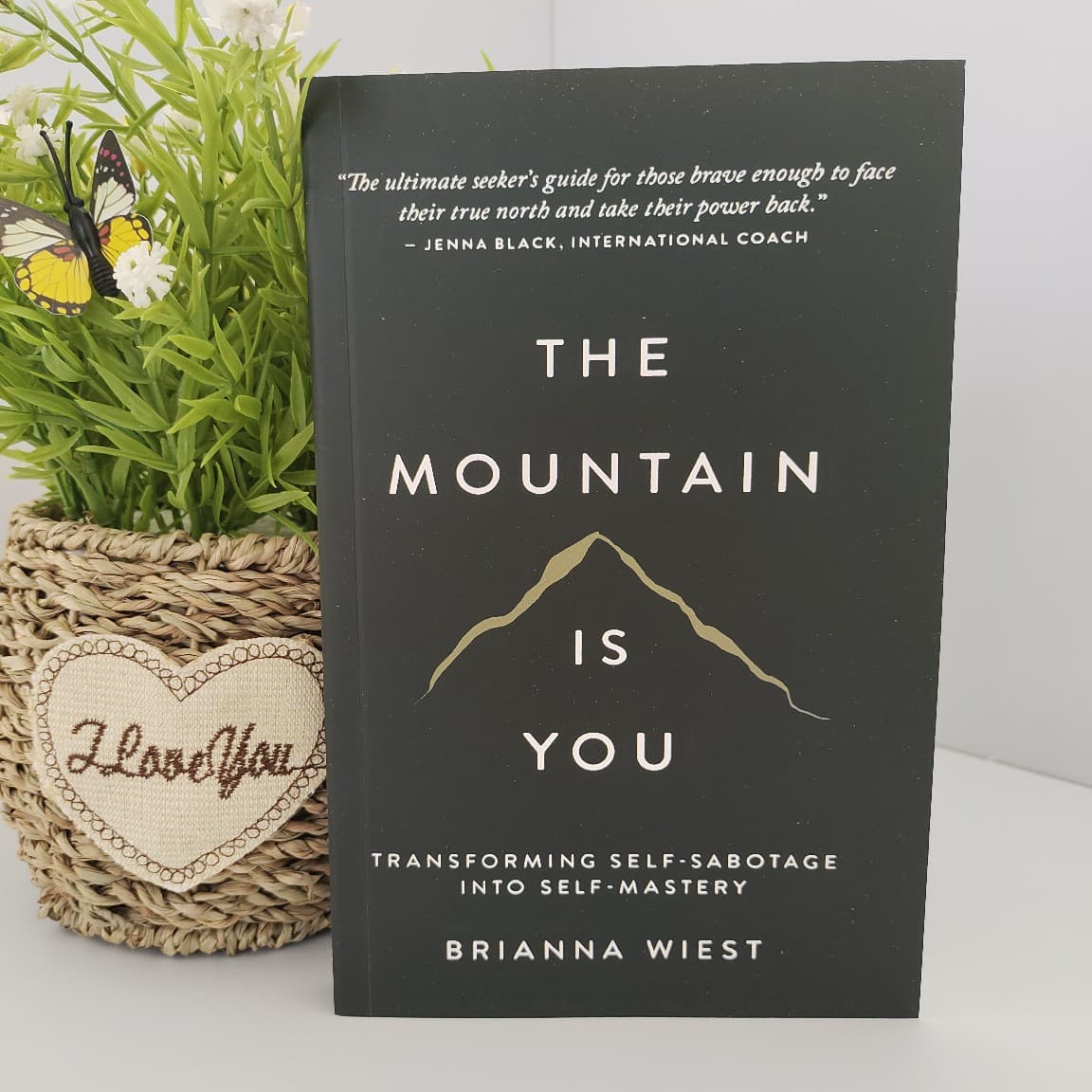 Mountain is your original English version of the mountain is you: self -transition batch discount 1