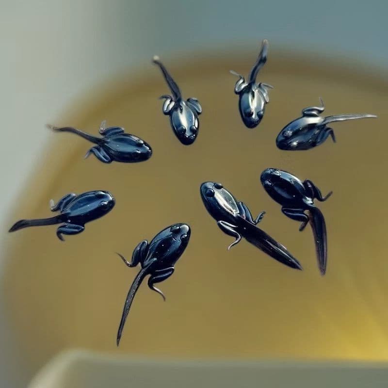 Bionic tadpole soft bait Lua fake bait Frog soft bait Lua stream fishing bass cocked mouth horse mouth simulation fake bait 2