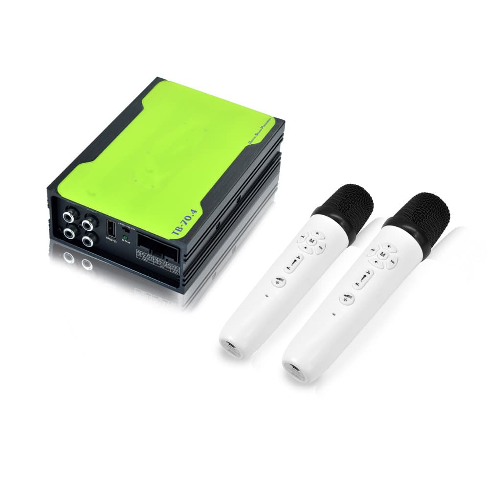 Factory direct selling car karaoke car DSP amplifier 31 EQ audio processor audio modification high power 5