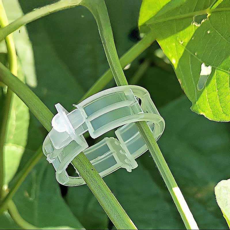 Gardening vine clip climbing plant fixation artifact does not damage the branches, pothos, rose tomato, universal, easy to install, anti-aging 4