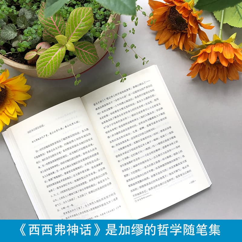 A Room Only for Oneself, a 20th-century feminist literary classic and inspirational novel for women 3