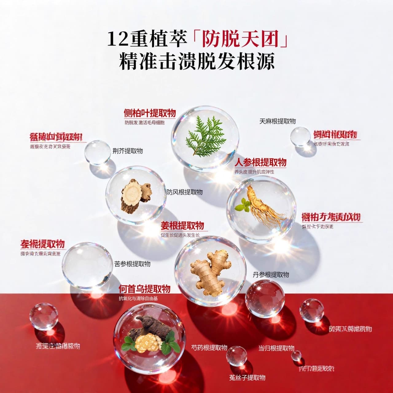 [Scratch code sale] Zhangguang 101 anti-hair loss fixing agent scalp essence to reduce hair loss and wake-up lotion genuine 3