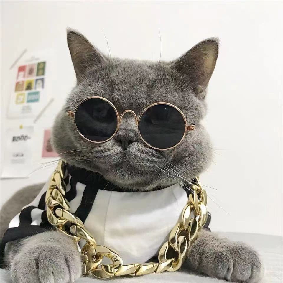 Manufacturer wholesale dog and cat pet glasses, creative trendy toy sunglasses, studio shooting props