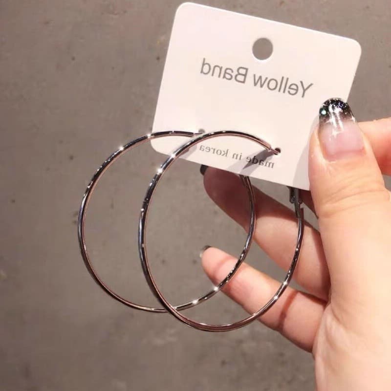 Brand metal earrings, silver 925 sample