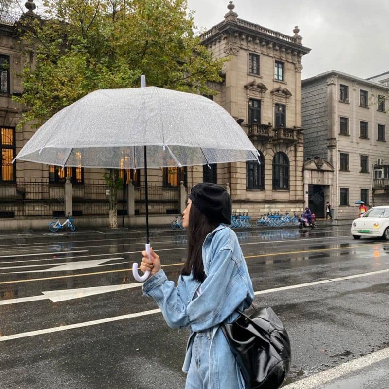 Fresh umbrella for students, Korean style, internet celebrity, increased thickness