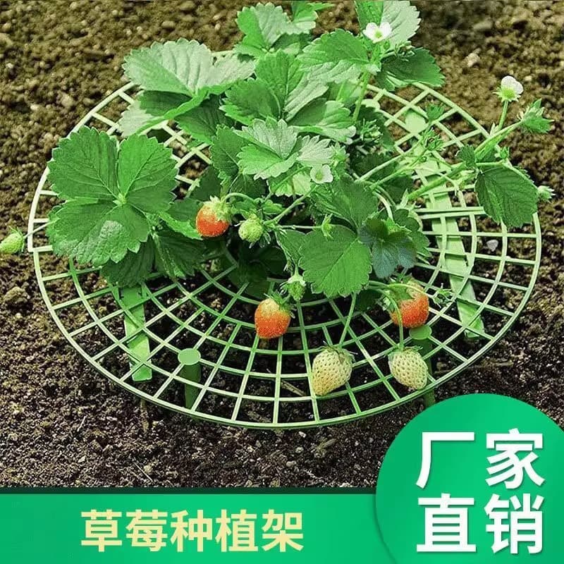 Family strawberry planting bracket bracket anti -corrosion rot and anti -falling simplicity support shelf frame art and flower tray standing artifact